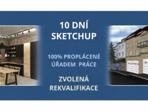 10D