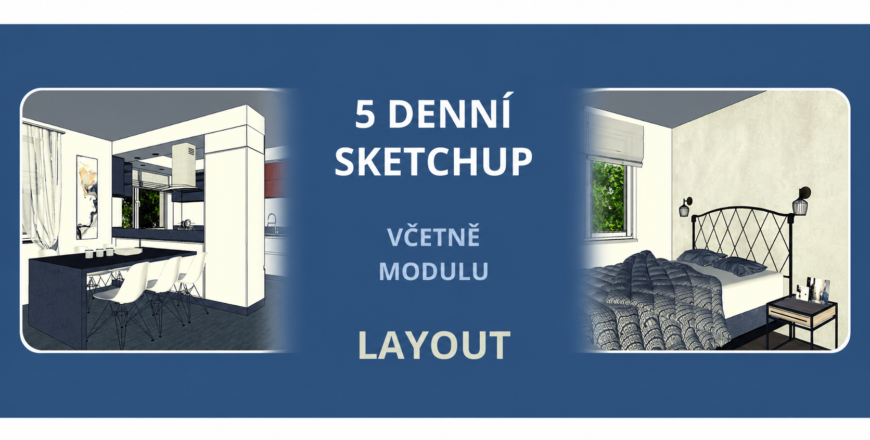 5D